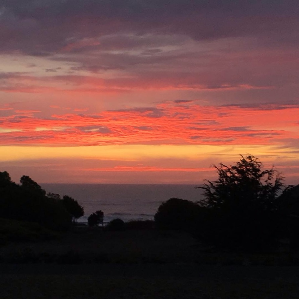 Meet your Posher, Sierra